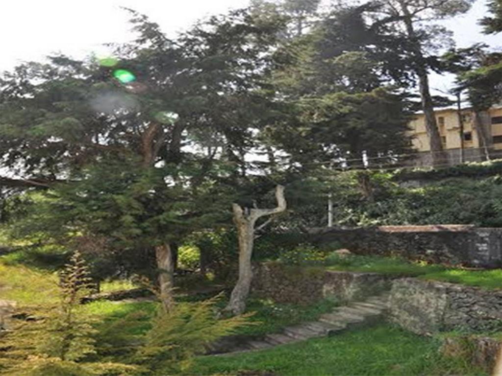 Hill Heaven Home Stay Tamilnadu - Tamilnadu - Kodaikanal Esterno foto